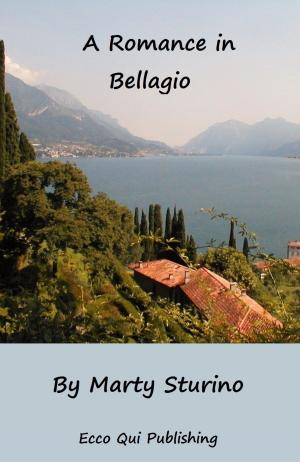 Cover of the book A Romance in Bellagio by David C. Powers