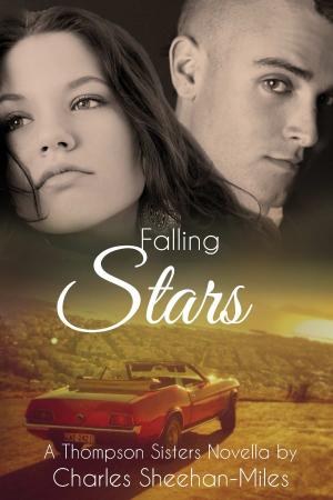 Cover of the book Falling Stars by Becky Barker