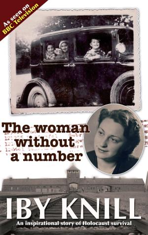 Cover of the book The Woman Without a Number by Kari O'Gorman