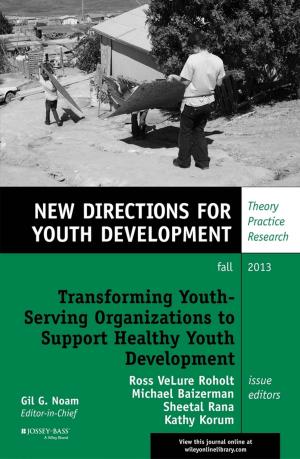 Cover of the book Transforming Youth Serving Organizations to Support Healthy Youth Development by Alain Cardon, Mhamed Itmi