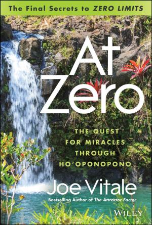 Cover of the book At Zero by Peter Spiller, Nicolas Reinecke, Drew Ungerman, Henrique Teixeira
