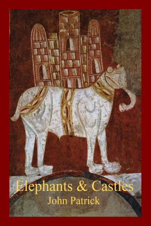Cover of the book Elephants and Castles by Adam Martin