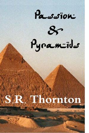 Cover of the book Passion & Pyramids by JC Edwards