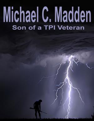 Cover of the book Son of a TPI Veteran by Alex Dong