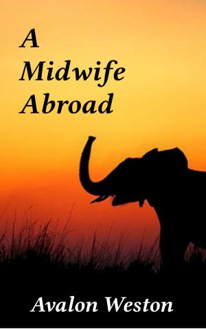 Cover of the book A Midwife Abroad by Monty Joynes
