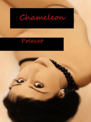 Cover of the book Chameleon by Jane Markwell