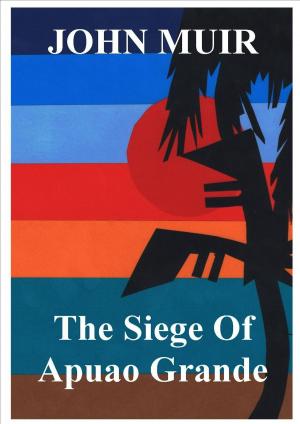 Cover of the book The Siege Of Apuao Grande by Alexis Dare