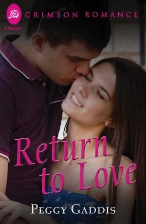 Cover of the book Return to Love by Lynn Crandall