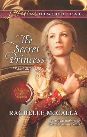 Cover of the book The Secret Princess by Mia Soto