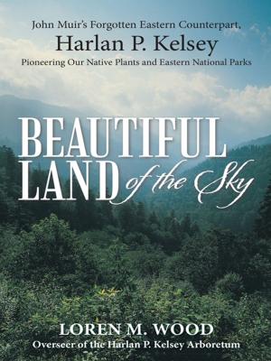 Book cover of Beautiful Land of the Sky