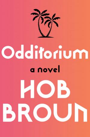 bigCover of the book Odditorium by 