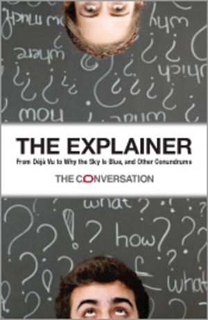 Cover of the book The Explainer by Jane Varkulevicius