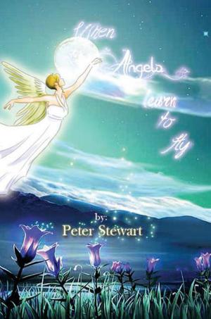 Cover of the book When Angels Learn to Fly by Anca Ivanenko