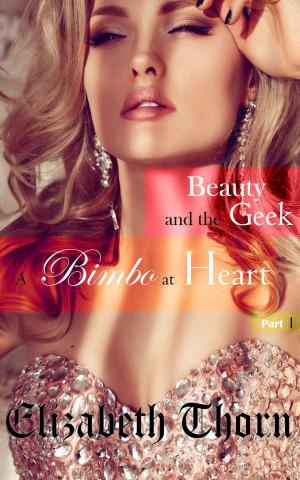 Cover of the book Beauty and the Geek Part 1 - A Bimbo At Heart by Dr. Michael J. Duckett
