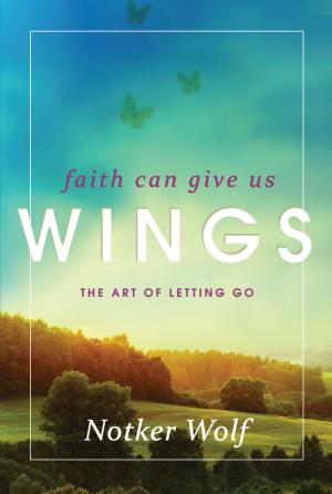 Cover of the book Faith Can Give Us Wings by Lauren Winner