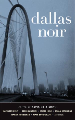 Cover of the book Dallas Noir by Michelle Gadsden-Williams