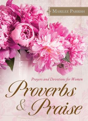 Cover of the book Proverbs & Praise by Erica Vetsch