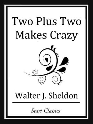Cover of the book Two Plus Two Makes Crazy by Sewell Peaslee Wright