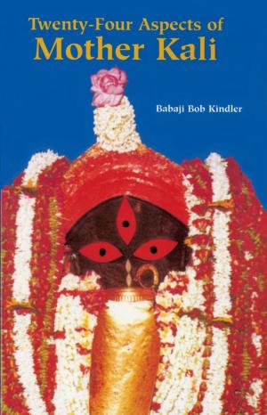Cover of the book Twenty-Four Aspects of Mother Kali by Vyanst