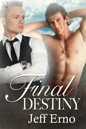 Cover of the book Final Destiny by Dea Divi