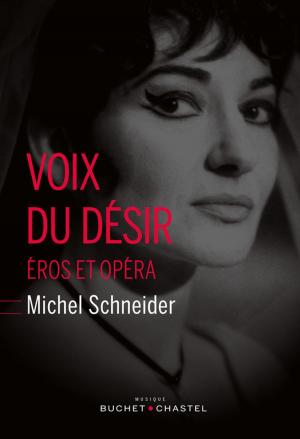 Book cover of Voix du désir