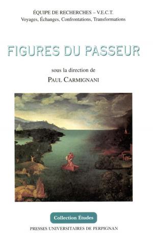 Cover of the book Figures du passeur by Jean-Paul le Flem, Gilbert Larguier, Jean-Pierre Dedieu