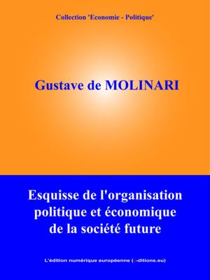 Cover of the book Esquisse de l'organisation politique et économique de la société future by René Descartes