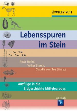 Cover of the book Lebensspuren im Stein by Herbert W. Roesky