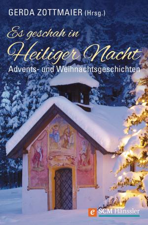 Cover of the book Es geschah in Heiliger Nacht by Anke Weidinger