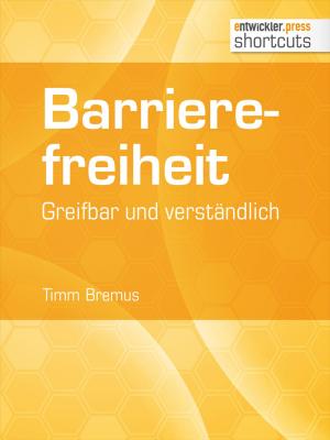 Cover of the book Barrierefreiheit - greifbar und verständlich by Alexander Rudolph