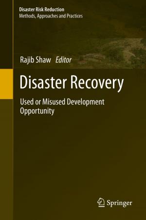 Cover of the book Disaster Recovery by Hiroshi Iwata, Kunio Shimada