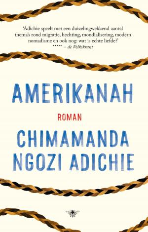 Cover of the book Amerikanah by Peter Winnen