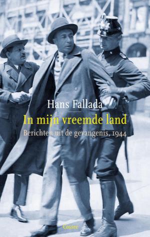 Cover of the book In mijn vreemde land by David Foenkinos