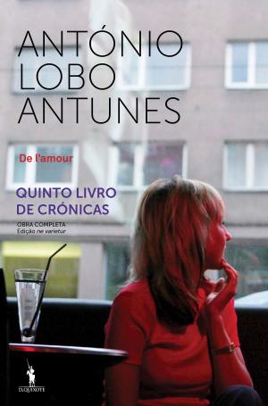 Cover of the book De lamour by João César Das Neves