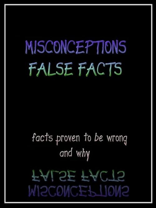 Cover of the book Misconceptions False Facts by Janette Soleman, Vindo Books