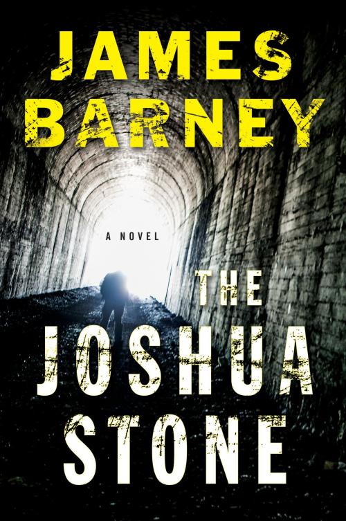 Cover of the book The Joshua Stone by James Barney, William Morrow Paperbacks