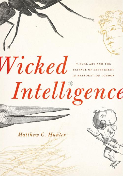 Cover of the book Wicked Intelligence by Matthew C. Hunter, University of Chicago Press