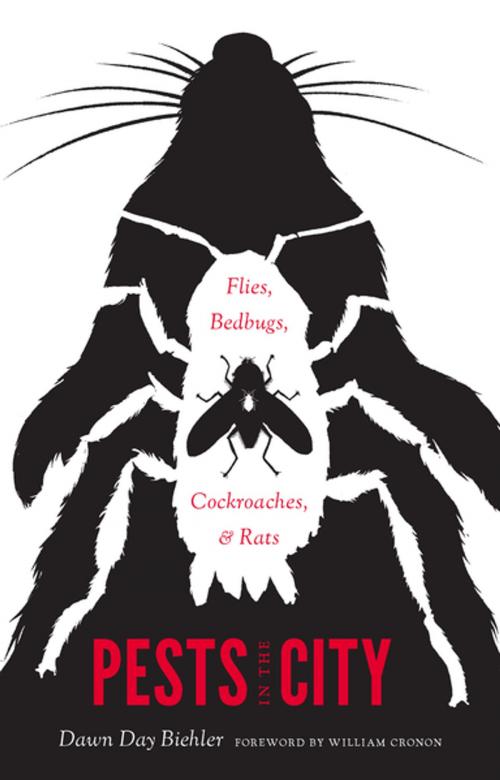 Cover of the book Pests in the City by Dawn Day Biehler, University of Washington Press