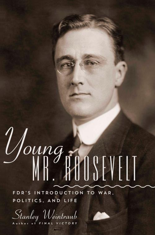 Cover of the book Young Mr. Roosevelt by Stanley Weintraub, Hachette Books