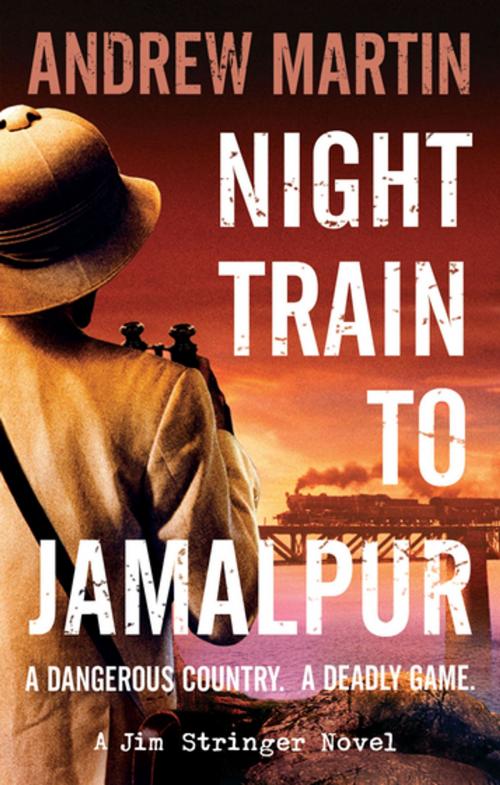 Cover of the book Night Train to Jamalpur by Andrew Martin, Faber & Faber