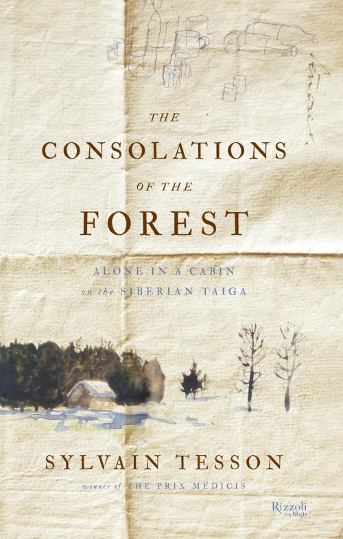 Cover of the book The Consolations of the Forest by Sylvain Tesson, Rizzoli