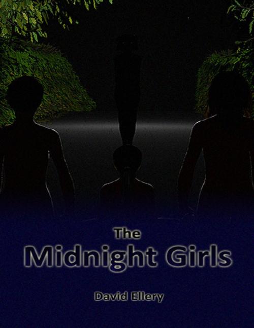 Cover of the book The Midnight Girls by David Ellery, Lulu.com