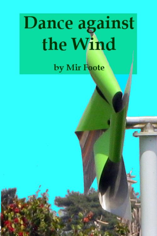 Cover of the book Dance Against the Wind by Mir Foote, Mir Foote