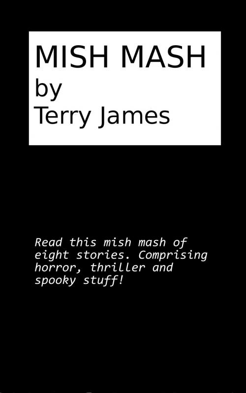 Cover of the book Mish Mash by Terry James, Terry James