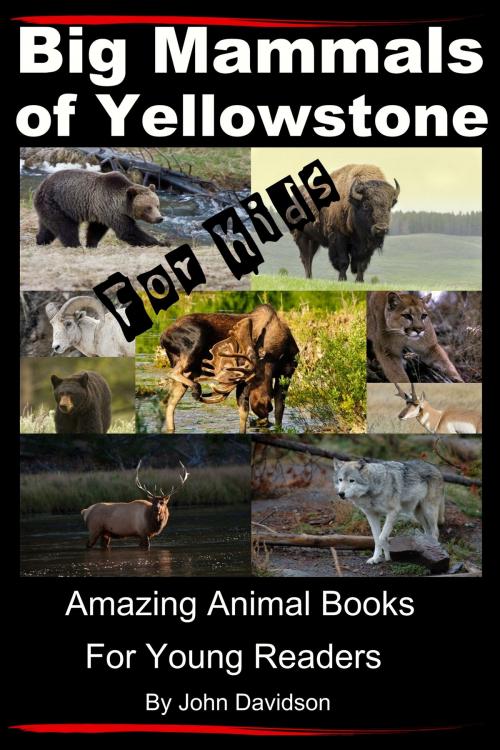 Cover of the book Big Mammals Of Yellowstone For Kids: Amazing Animal Books for Young Readers by John Davidson, JD-Biz Corp Publishing