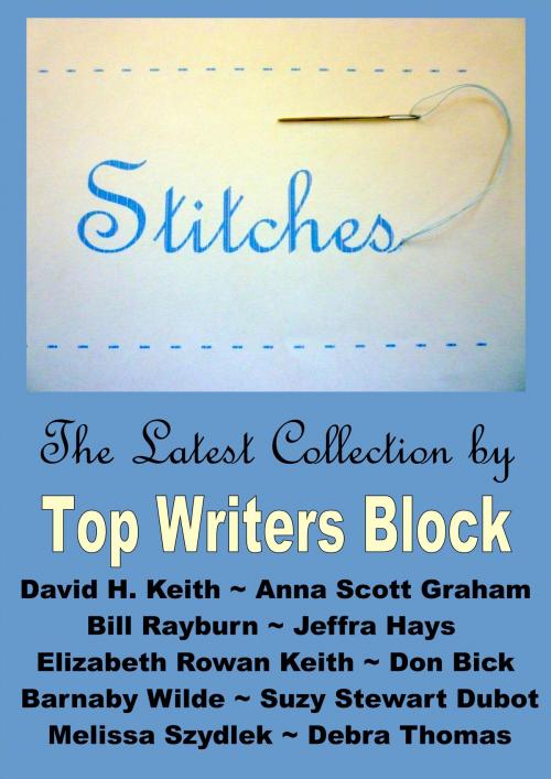 Cover of the book Stitches by Top Writers Block, Top Writers Block