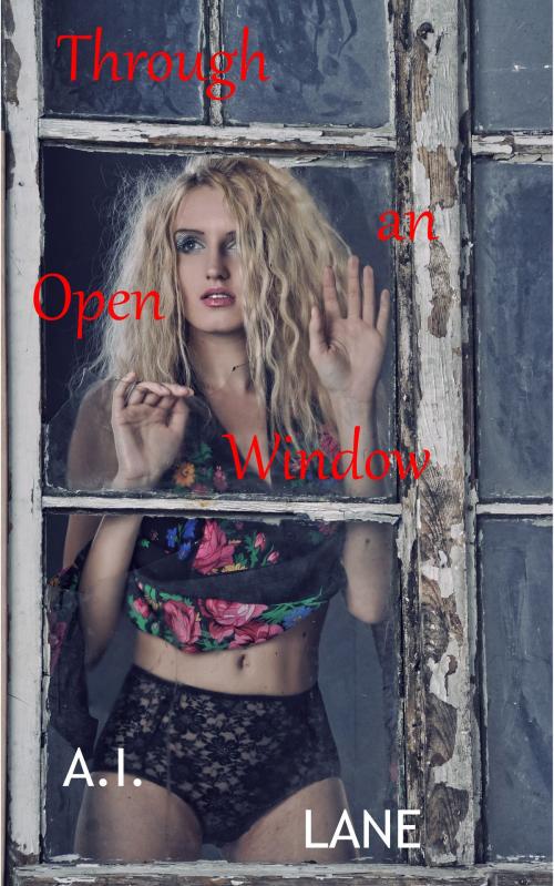 Cover of the book Through an Open Window by A.I. Stevens, A.I. Stevens