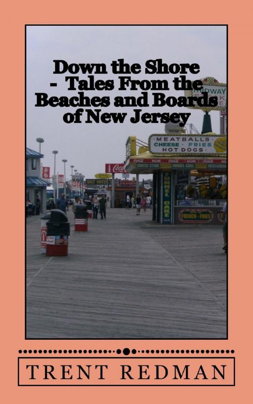 Cover of the book Down the Shore: Tales From the Beaches and Boards of New Jersey by Larry S Gray, Larry S Gray