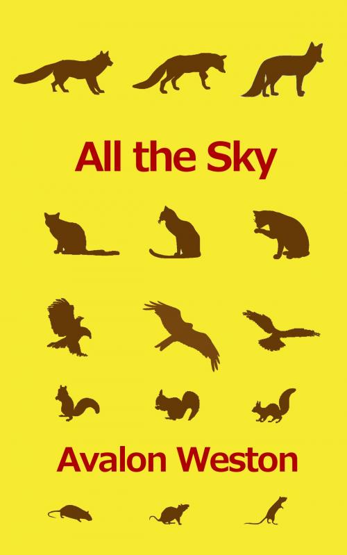 Cover of the book All the Sky by Avalon Weston, Avalon Weston