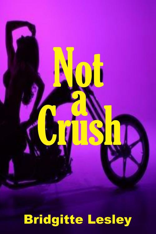 Cover of the book Not a Crush by Bridgitte Lesley, Bridgitte Lesley